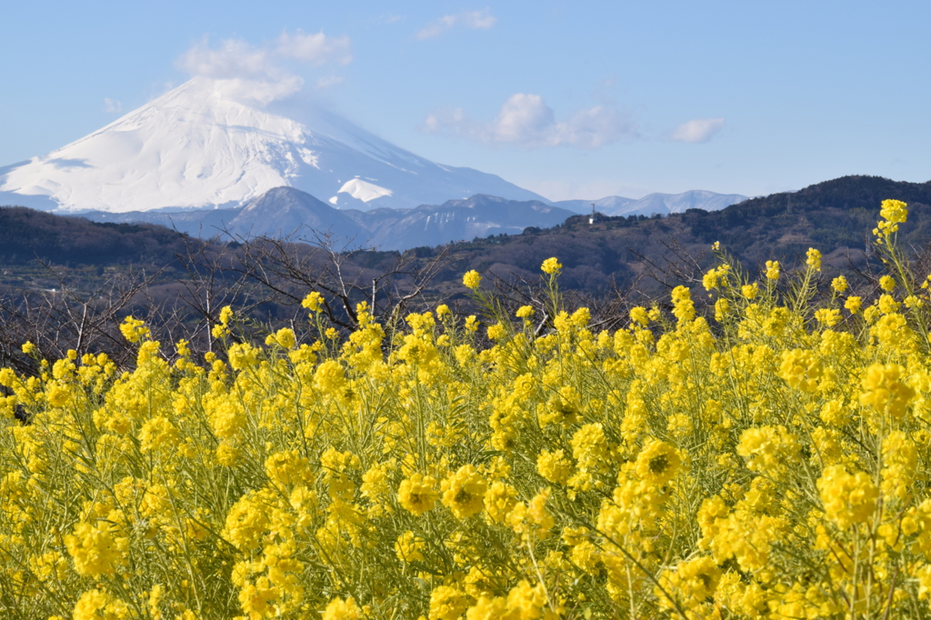 二宮吾妻山