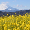 二宮吾妻山