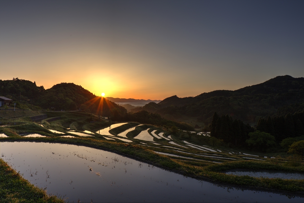 大山千枚田2015.5-2