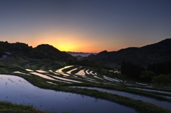 大山千枚田2015.5-1