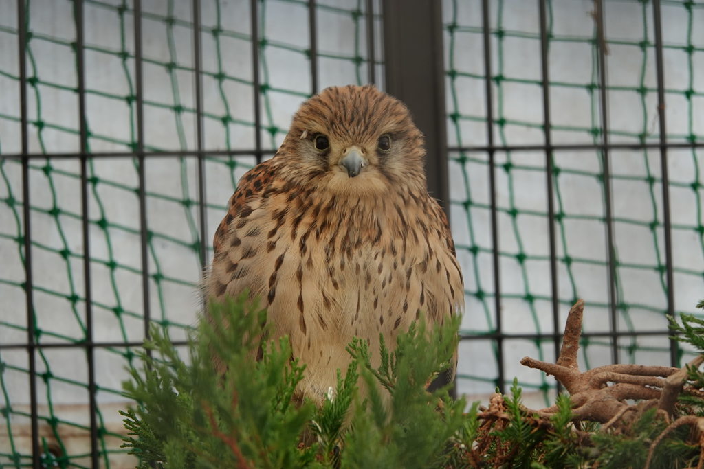 わんぱーく高知にて