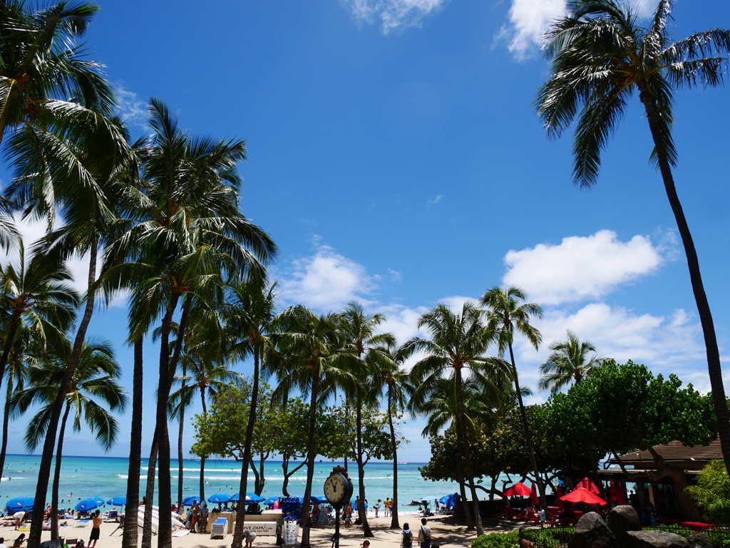 晴天のWaikiki