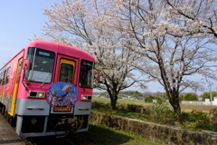 北条鉄道と桜