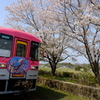 北条鉄道と桜