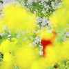 ひと休み