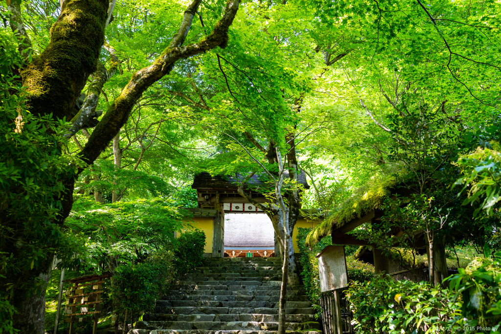 京都大原 寂光院