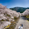 七谷川沿いの風景２