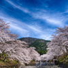 七谷川沿いの風景