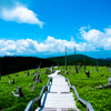 大台ケ原 2017 夏