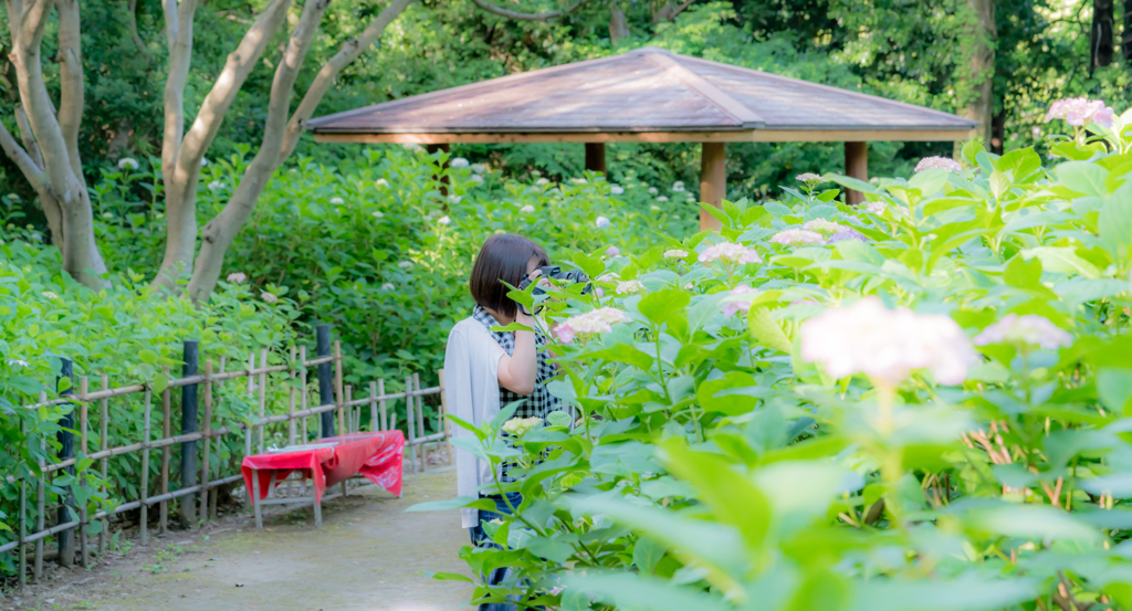 カメラ女子 （万博記念公園）