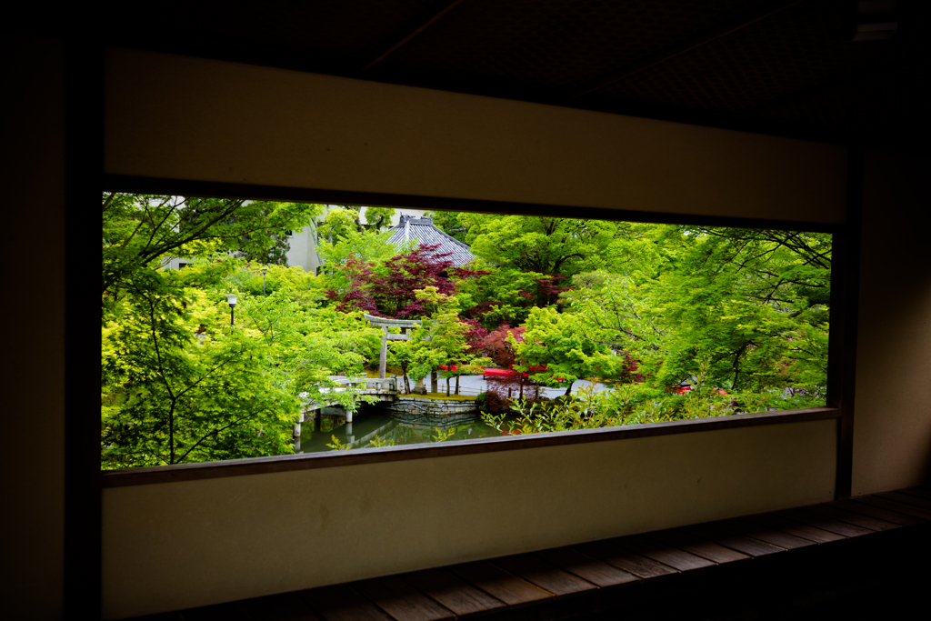 夢庵の眺め 2
