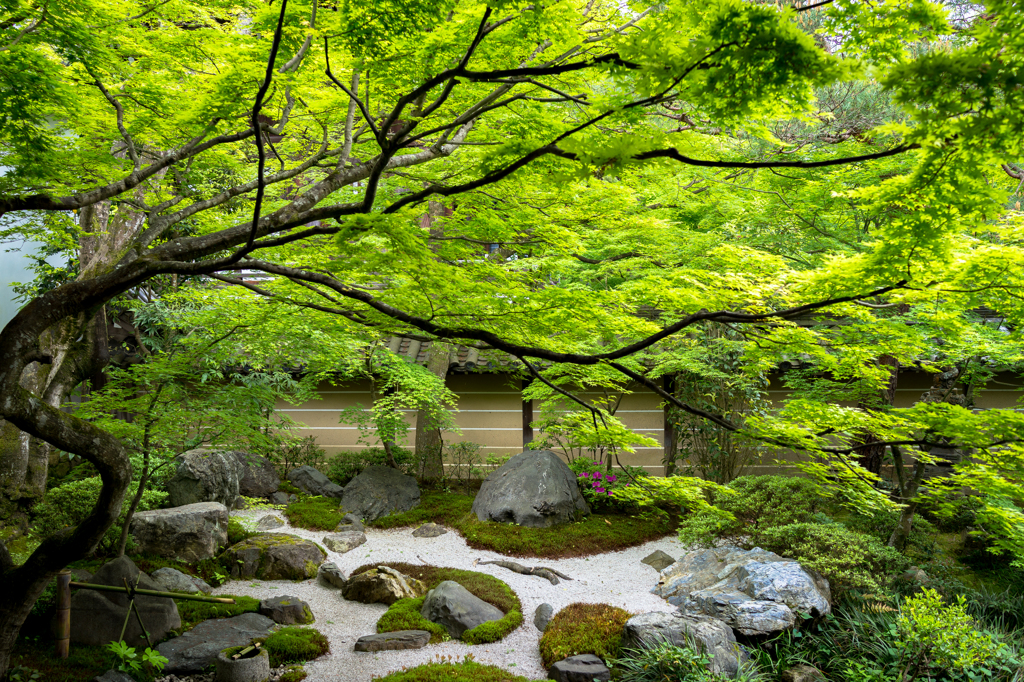 永観堂禅林寺 1