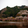 月ヶ瀬 八幡橋の畔