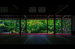 初夏の京都 圓光寺