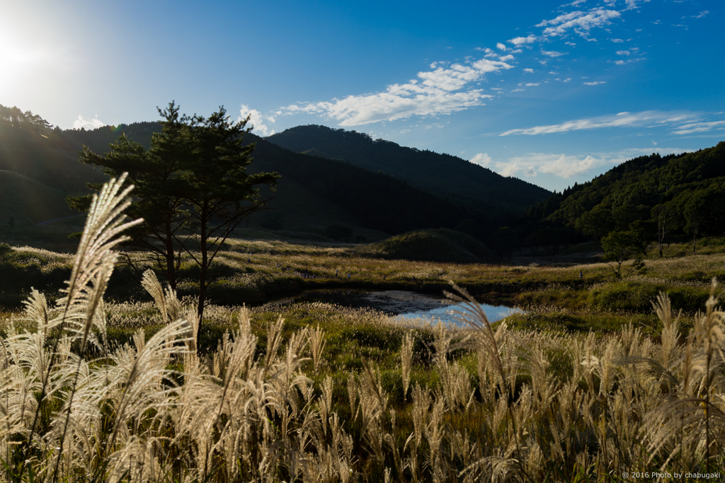 砥峰高原