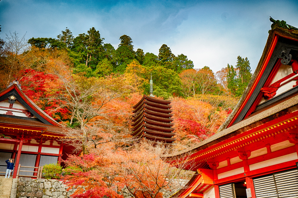 談山神社