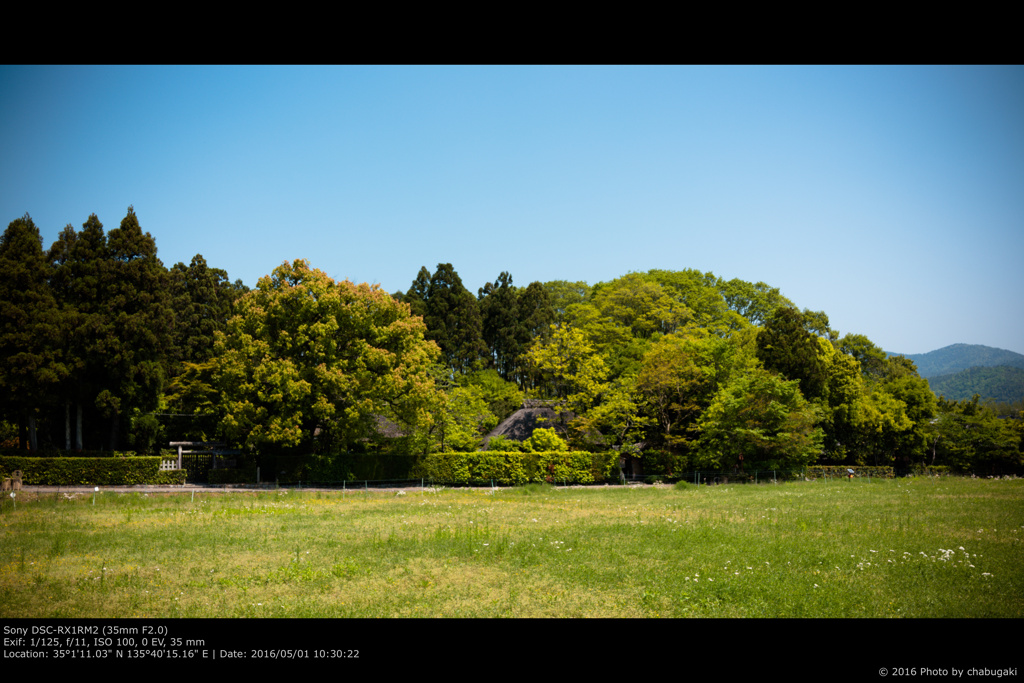 嵯峨野　落柿舎と長神の杜