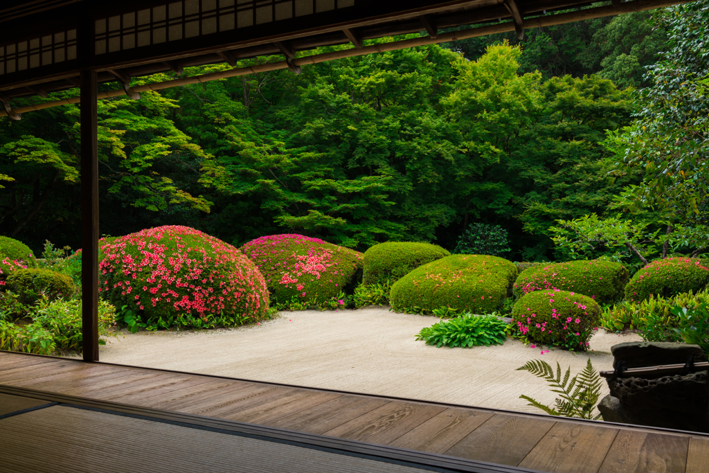 初夏の京都 詩仙堂（丈山寺）