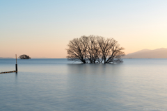 Tranquil Lake