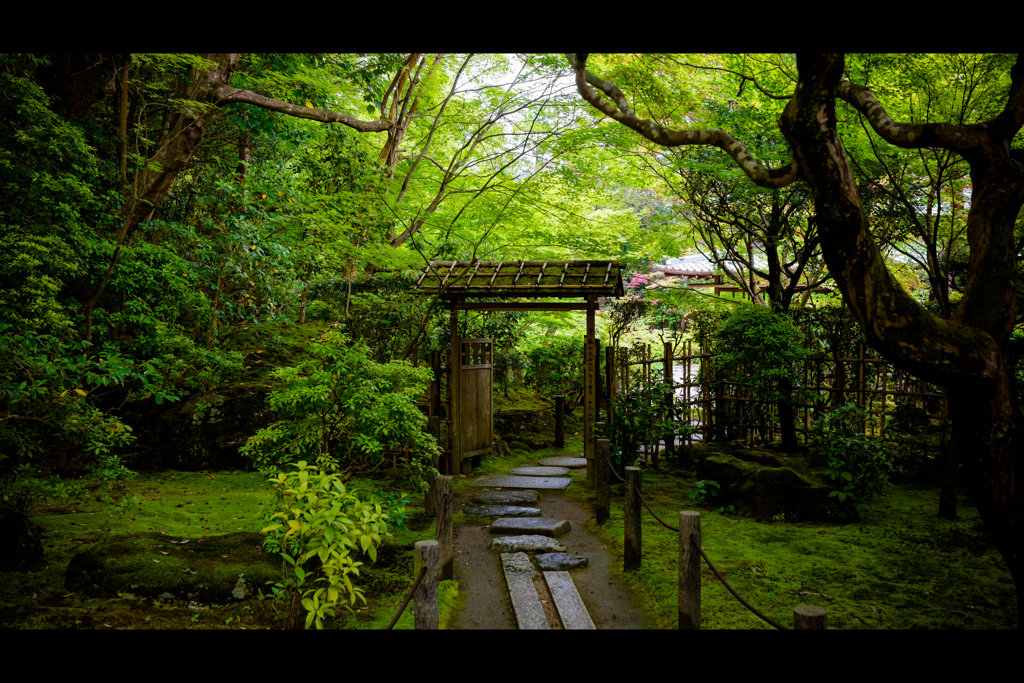 そうだ 天授庵、行こう。