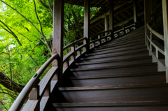 臥龍廊（永観堂禅林寺） 2016