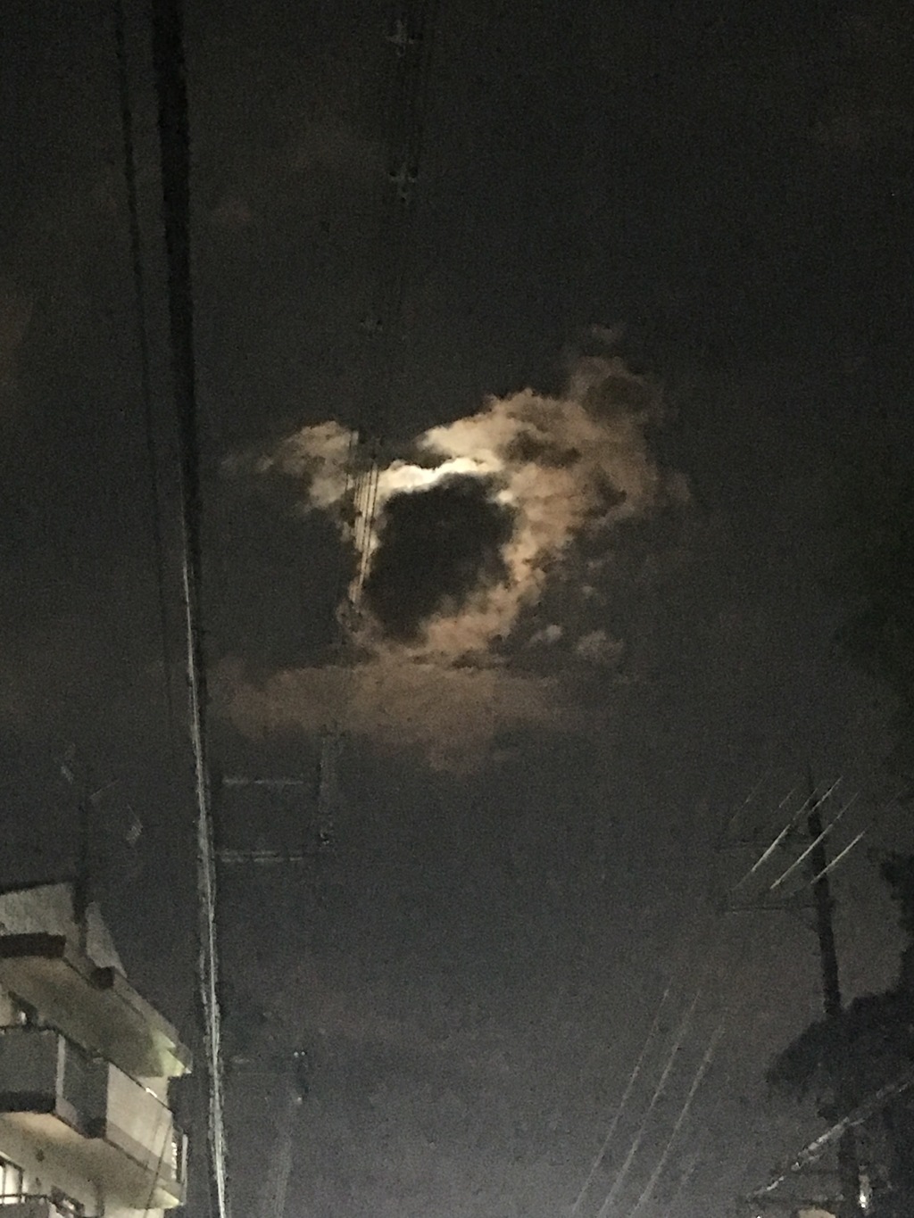 おばけ