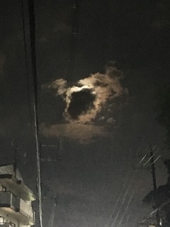 おばけ