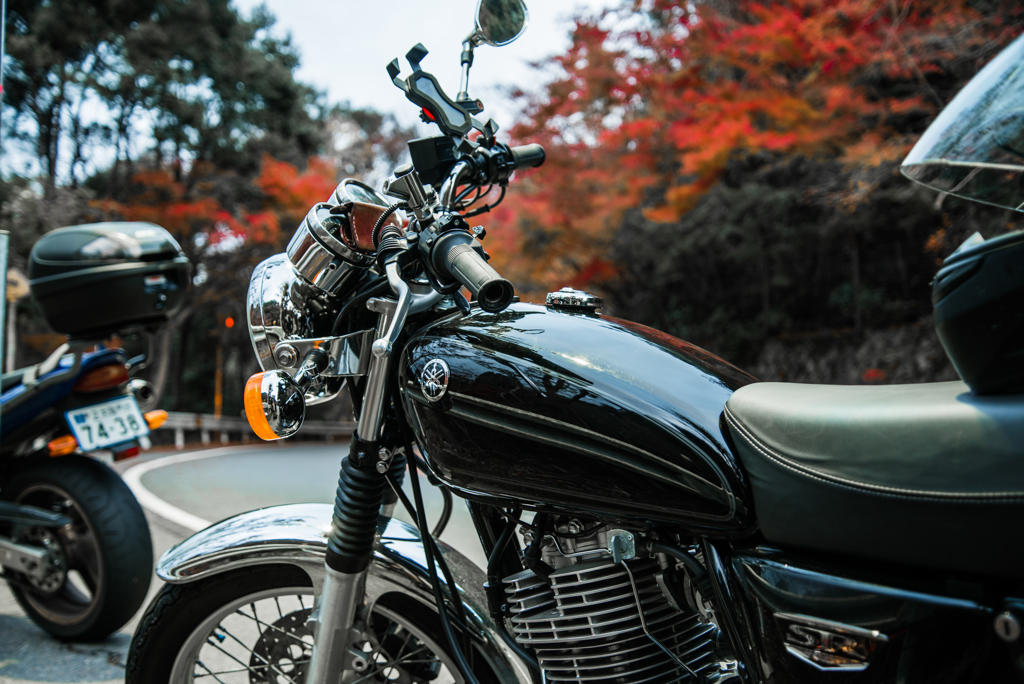 SRと紅葉