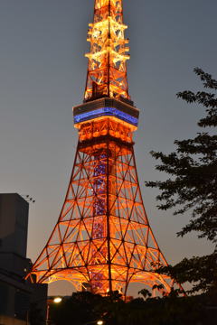 東京タワー ブルーのLEDがいい感じ