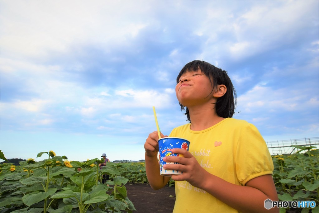 ひまわり畑で夏を感じる♪