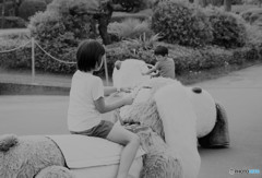 走り屋♪