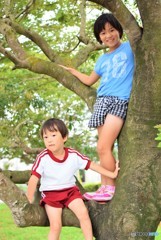 木登りきょうだい