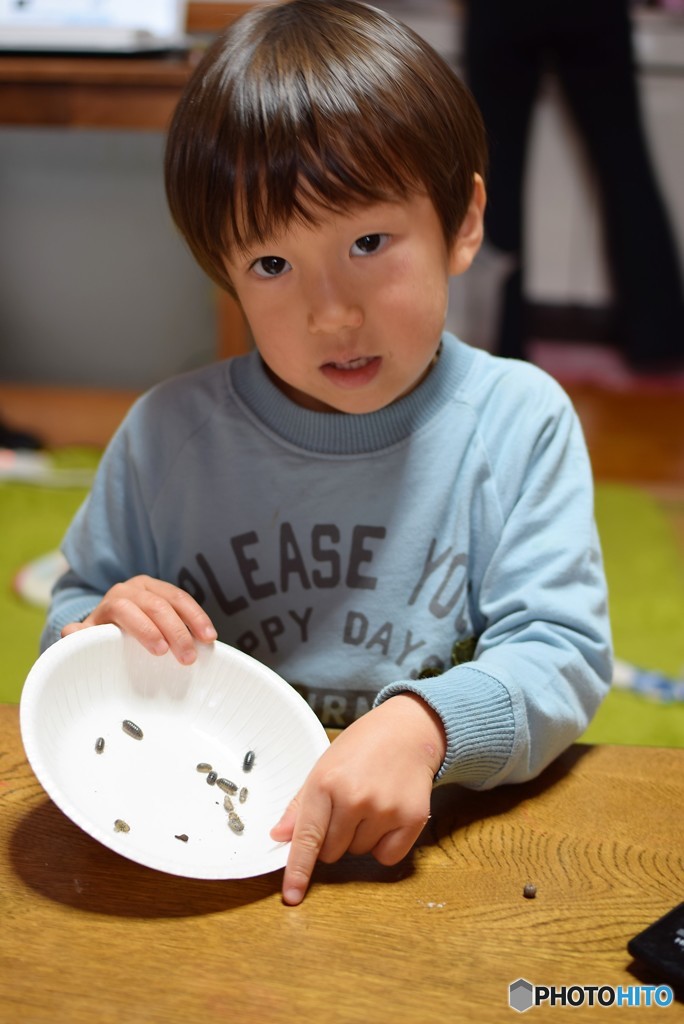 だんごむしとぼく