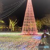 ゆく年、くる年