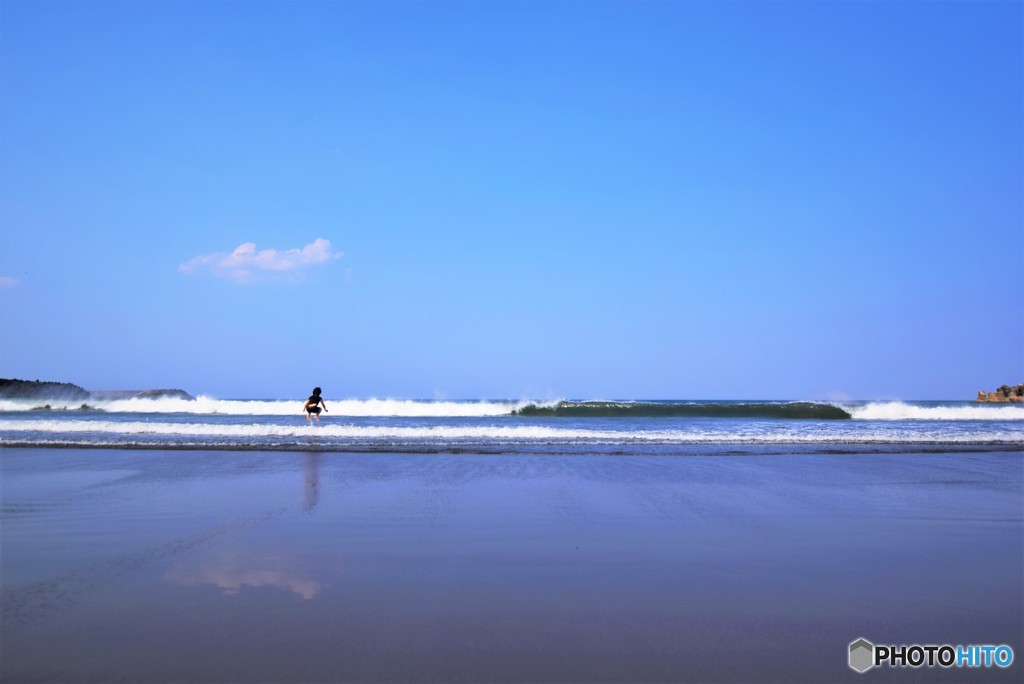 夏、先取り(^-^)