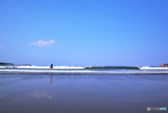 夏、先取り(^-^)