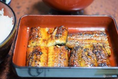 うなぎのかば焼き♪