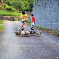 早寝、早起き、朝ごはん♪