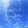 魚の目で♪