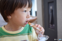 クッキーとぼく