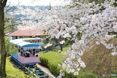 春の駅で♪