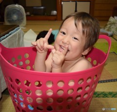 かご入りむすこ