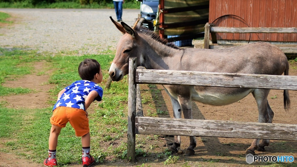 キミはトモダチ♪