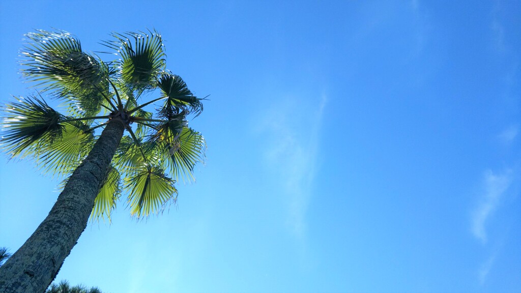 夏空♪