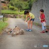 ごはんですよ～♪