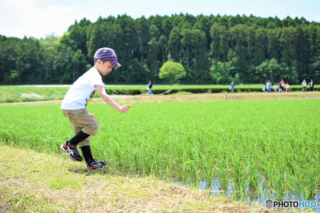 田んぼボーイ♪