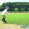 田んぼボーイ♪