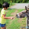 優しいきもち♪