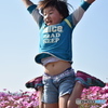 コスモス　Higt Jump!