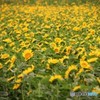 Rush hour♪